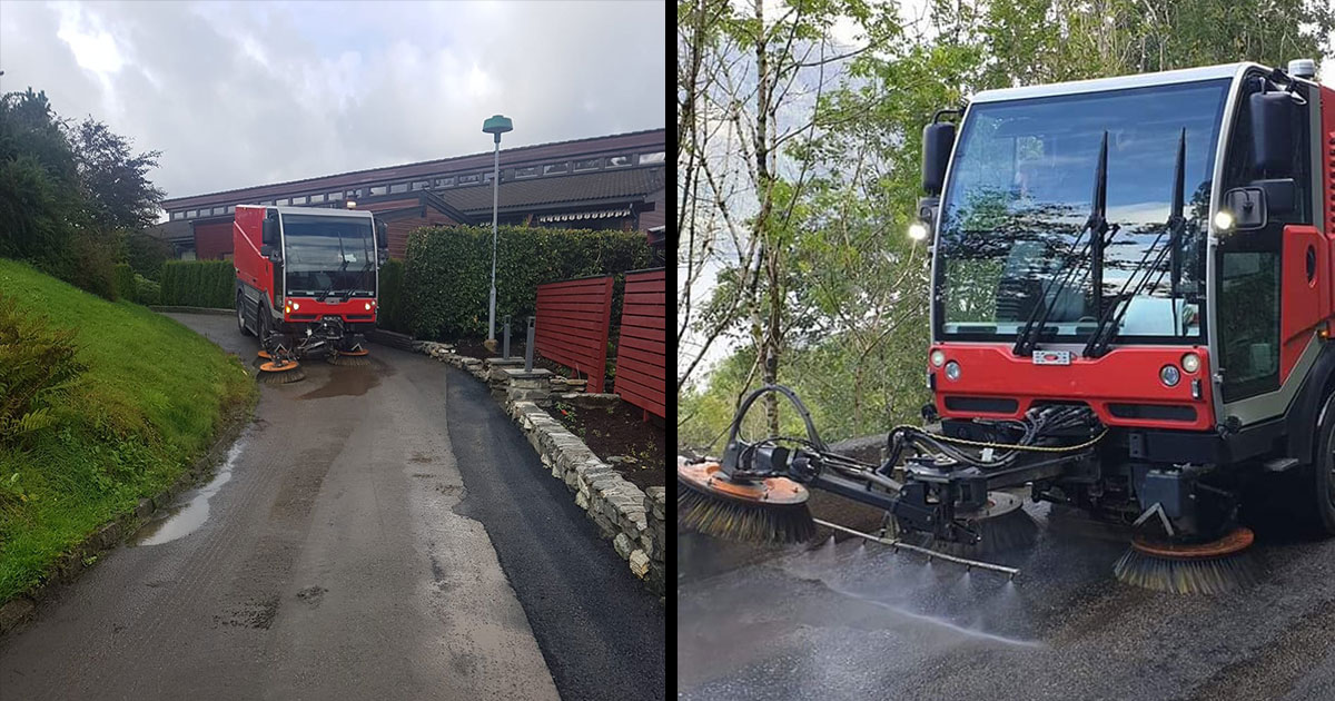 Profesjonelt kosting